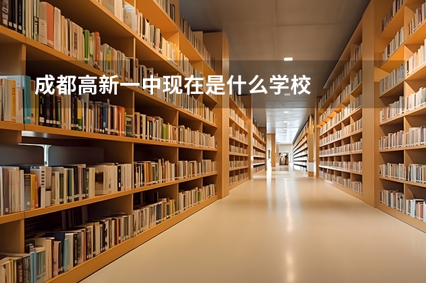 成都高新一中现在是什么学校