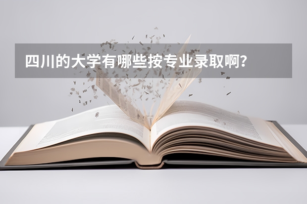 四川的大学有哪些按专业录取啊?