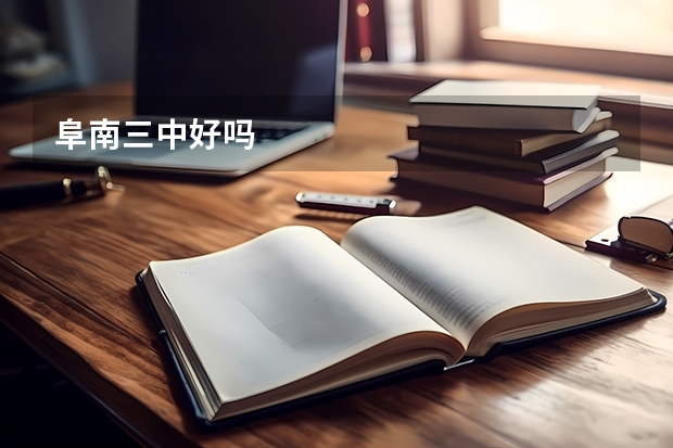 阜南三中好吗