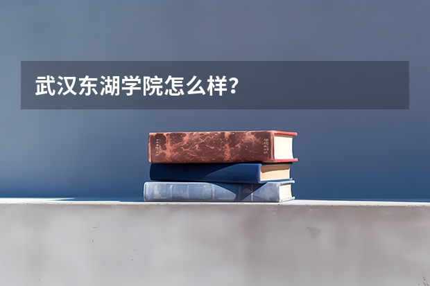 武汉东湖学院怎么样？
