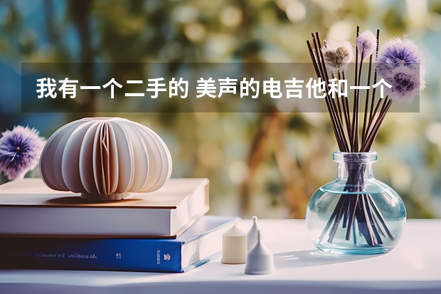 我有一个二手的 美声的电吉他和一个上海提琴场的800吉他音响 请问能卖多少钱