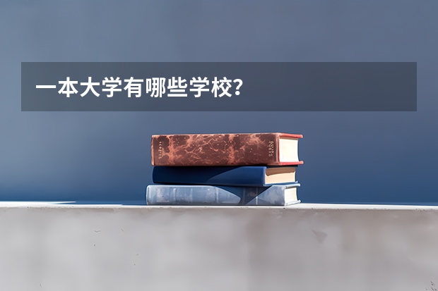 一本大学有哪些学校？