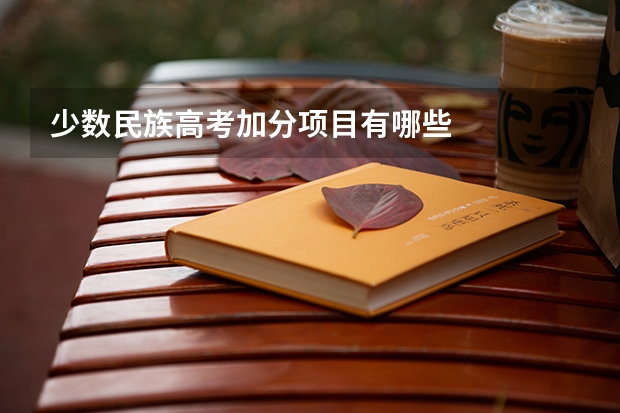 少数民族高考加分项目有哪些