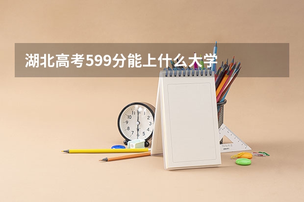 湖北高考599分能上什么大学