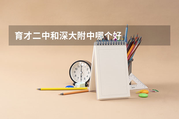 育才二中和深大附中哪个好