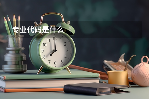 专业代码是什么
