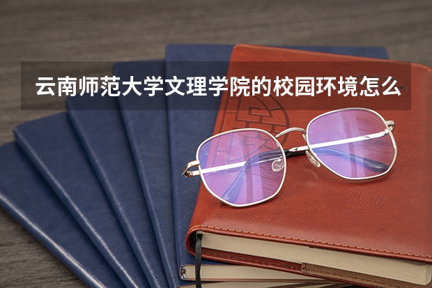 云南师范大学文理学院的校园环境怎么样