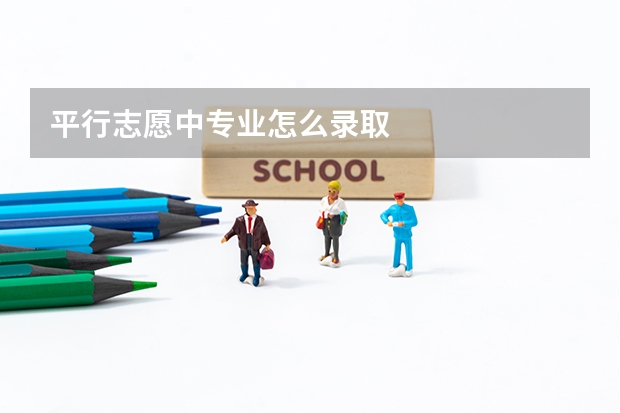 平行志愿中专业怎么录取