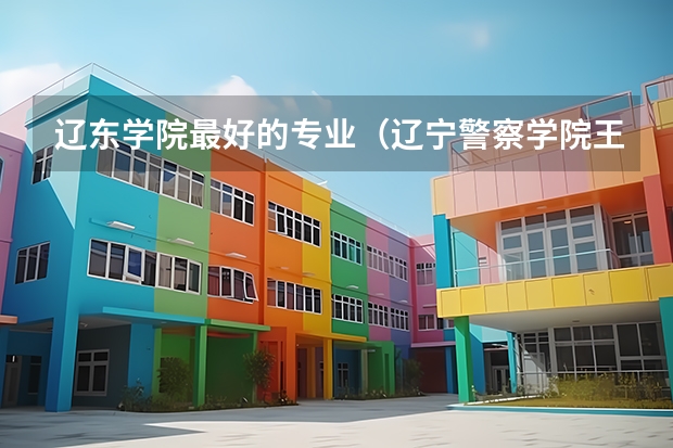 辽东学院最好的专业（辽宁警察学院王牌专业）