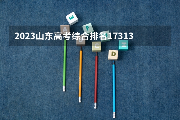 2023山东高考综合排名17313的考生报什么大学好 学校往年录取分数线