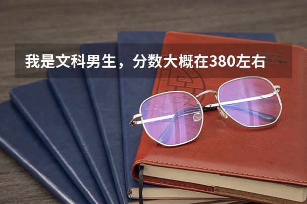 我是文科男生,分数大概在380左右,陕西考生,能报西安学校的什么专业,专科什么专业比较好