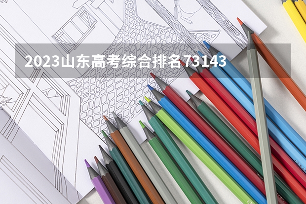 2023山东高考综合排名73143的考生报什么大学好 学校往年录取分数线
