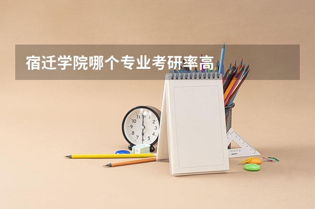 宿迁学院哪个专业考研率高