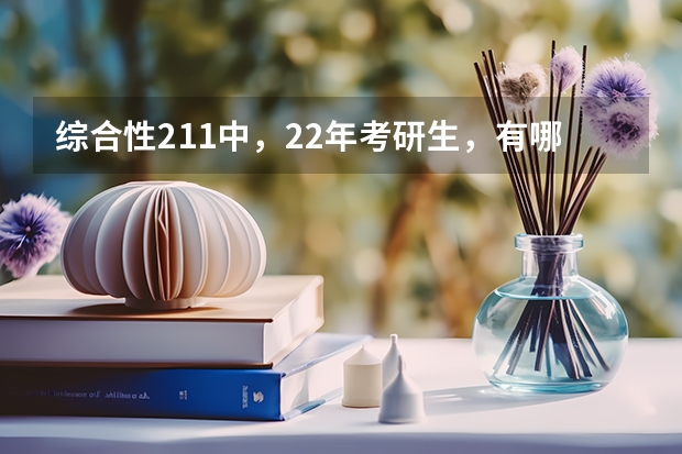 综合性211中，22年考研生，有哪些性价比高的大学？
