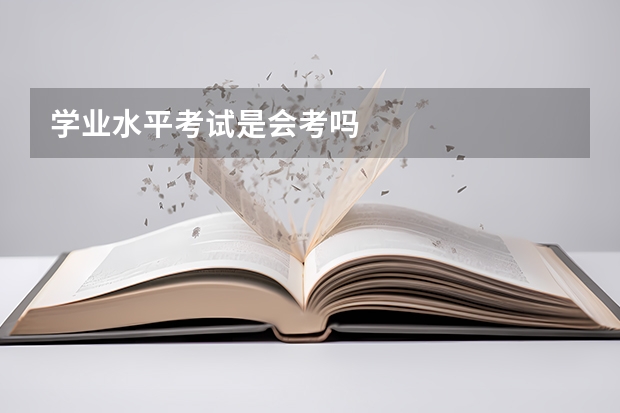 学业水平考试是会考吗