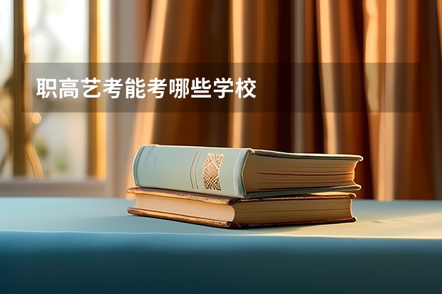 职高艺考能考哪些学校