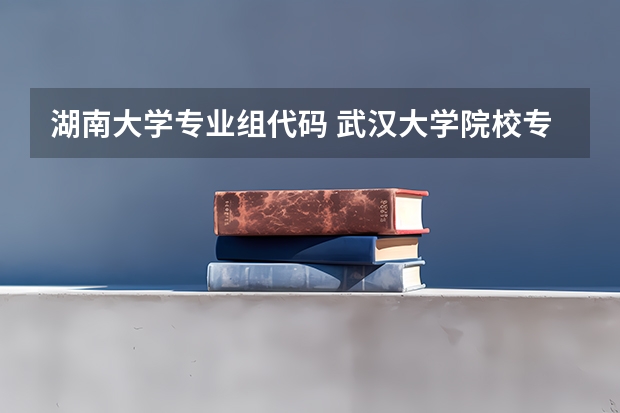 湖南大学专业组代码 武汉大学院校专业组代码