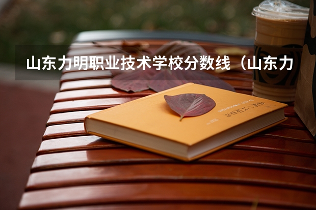 山东力明职业技术学校分数线(山东力明学院录取分数线)