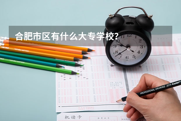 合肥市区有什么大专学校？