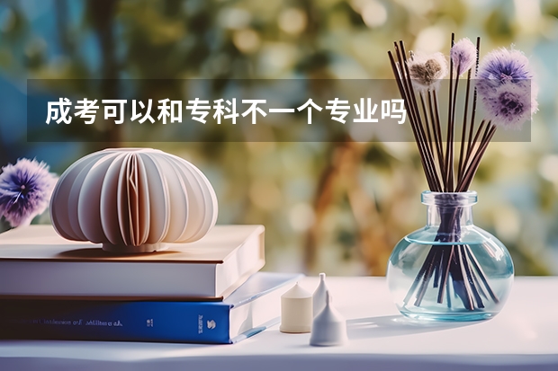 成考可以和专科不一个专业吗