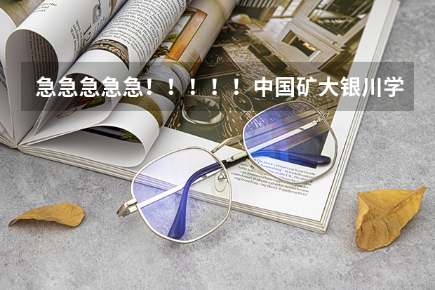 急急急急急!!!!!中国矿大银川学院怎么样?值得读吗???