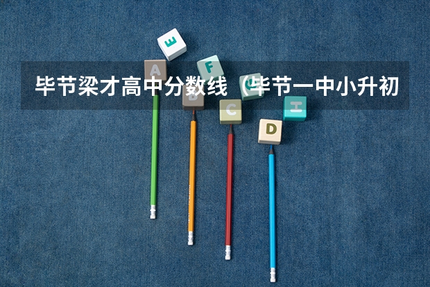 毕节梁才高中分数线(毕节一中小升初录取分数线)