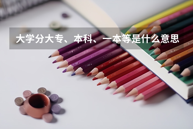 大学分大专、本科、一本等是什么意思 要详细一点