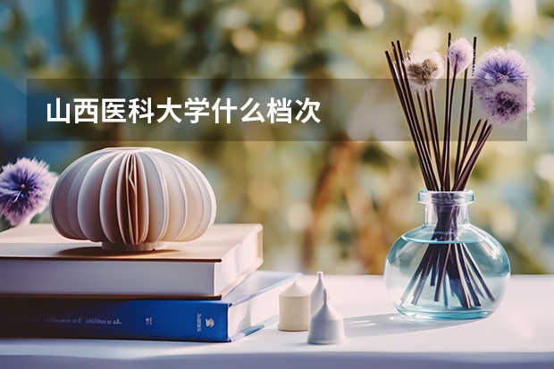 山西医科大学什么档次