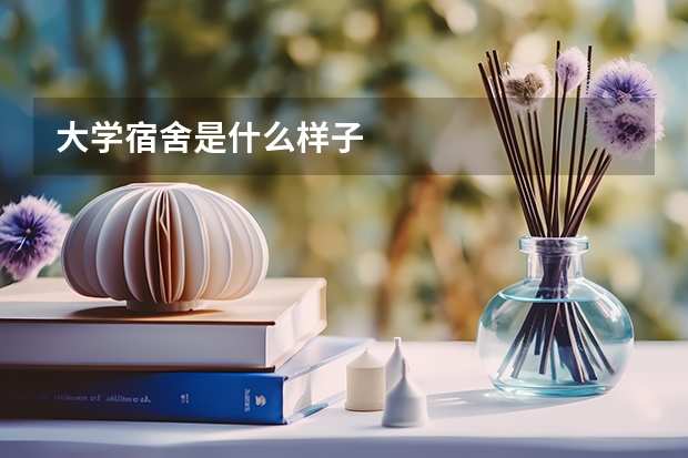 大学宿舍是什么样子