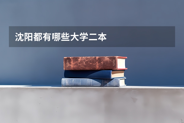 沈阳都有哪些大学二本