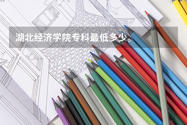 湖北经济学院专科最低多少。