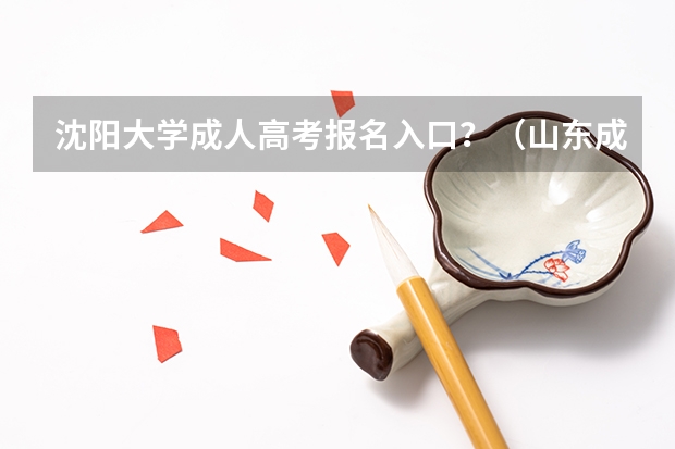 沈阳大学成人高考报名入口?(山东成人高考报名在哪儿报?)