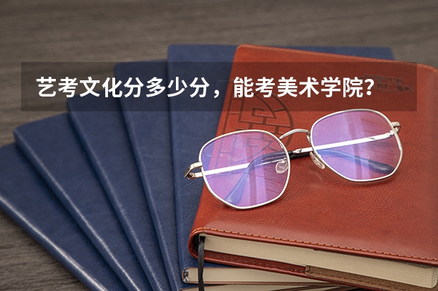 艺考文化分多少分，能考美术学院？
