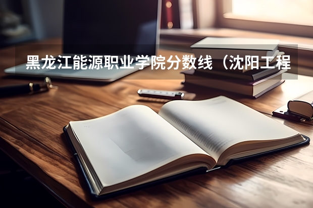 黑龙江能源职业学院分数线(沈阳工程学院是几本)