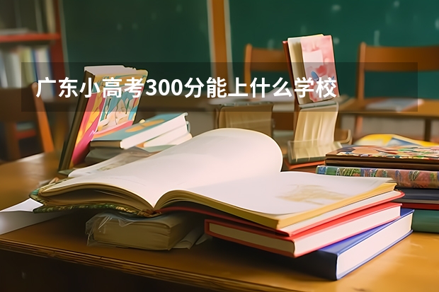 广东小高考300分能上什么学校