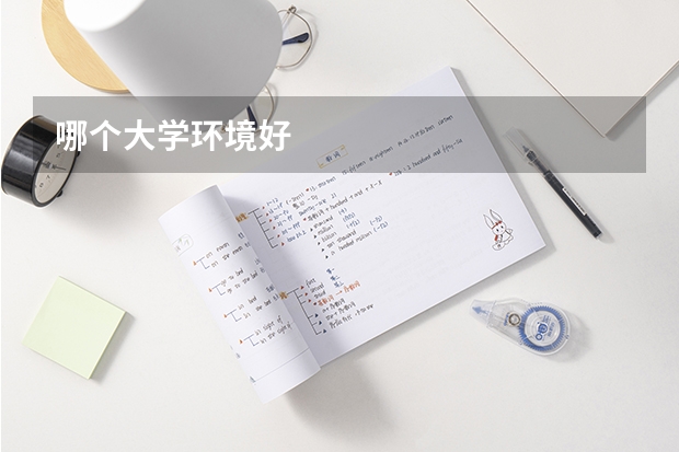 哪个大学环境好