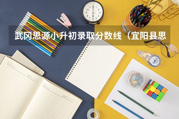 武冈思源小升初录取分数线（宜阳县思源学校小升初录取分数线）