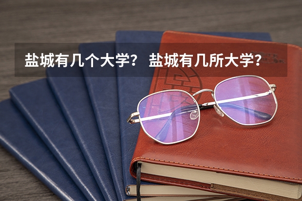 盐城有几个大学？ 盐城有几所大学？