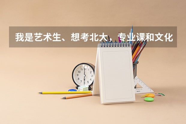 我是艺术生、想考北大,专业课和文化课多少分能考上