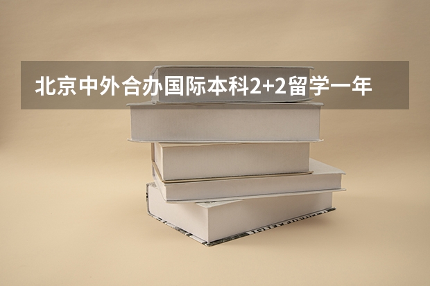 北京中外合办国际本科2+2留学一年学费是多少？