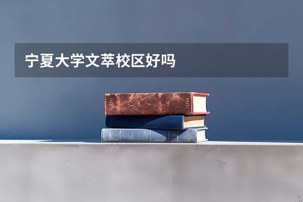 宁夏大学文萃校区好吗
