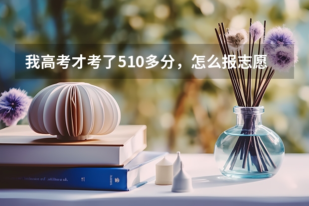 我高考才考了510多分,怎么报志愿呀/?太着急了