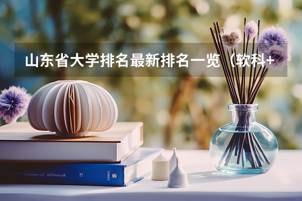 山东省大学排名最新排名一览(软科+校友会最新版) 山东所有大学排名一览表
