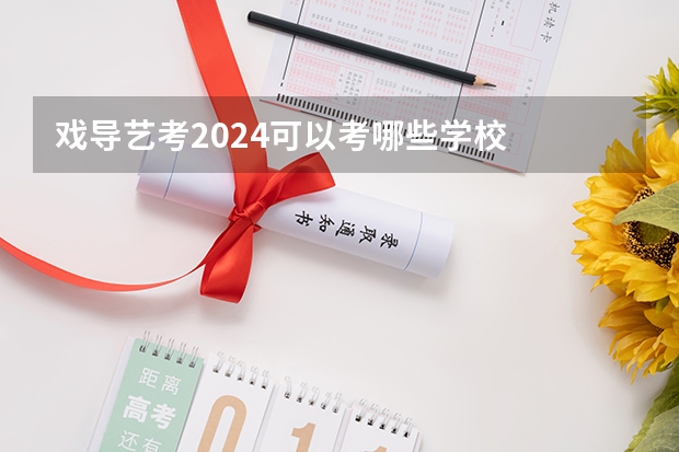 戏导艺考2024可以考哪些学校