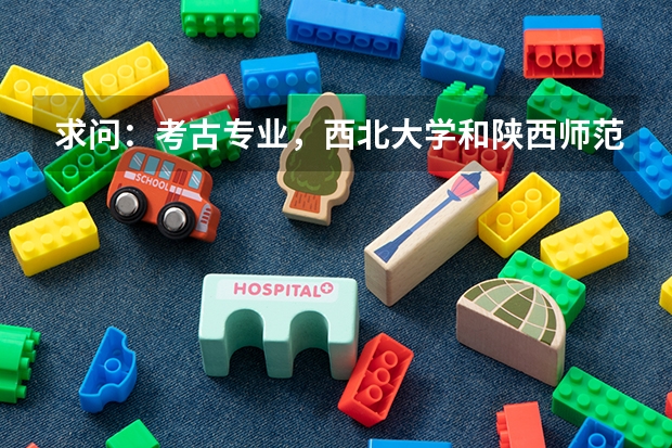求问:考古专业,西北大学和陕西师范大学怎么样啊