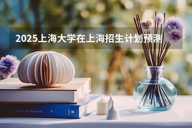 2025上海大学在上海招生计划预测 大概招多少人