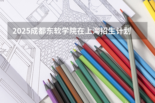 2025成都东软学院在上海招生计划预测 大概招多少人