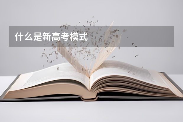 什么是新高考模式