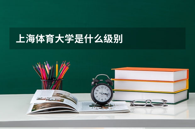 上海体育大学是什么级别