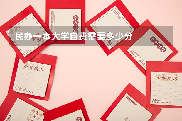 民办一本大学自费需要多少分